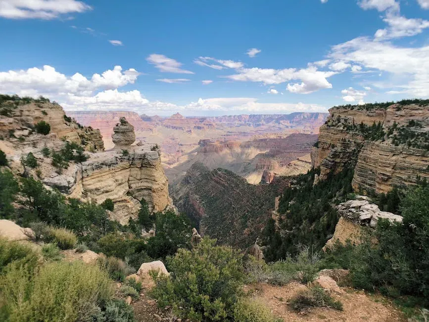 A Living Ecosystem: Biodiversity Hidden Inside the Abyss (Image Credits: Pexels)