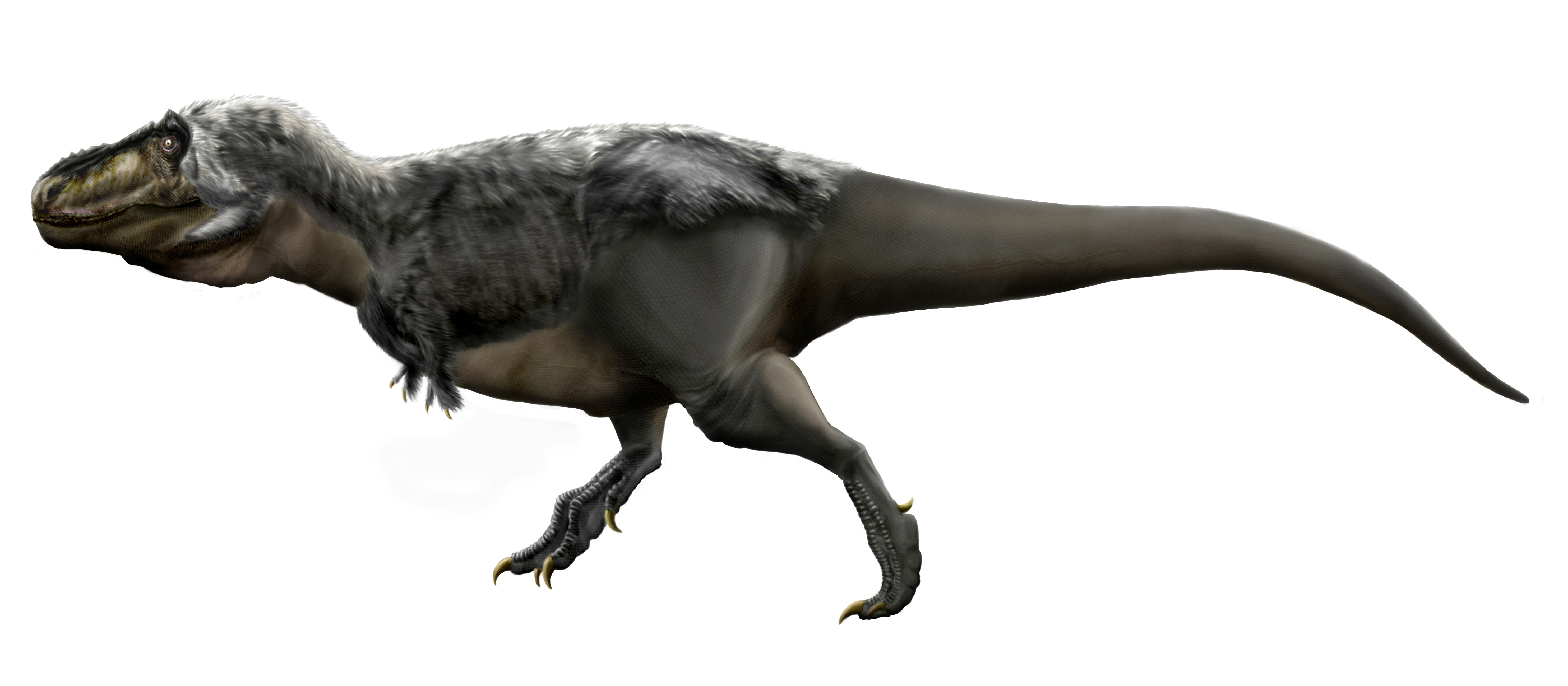 Feathered Dinosaurs: New Species from Asia (Image Credits: Wikimedia)