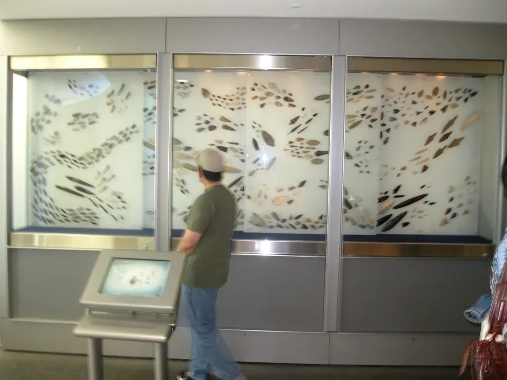 The Clovis Points That Crossed Hundreds of Miles (Binder Of Daemons, Flickr, CC BY 2.0)