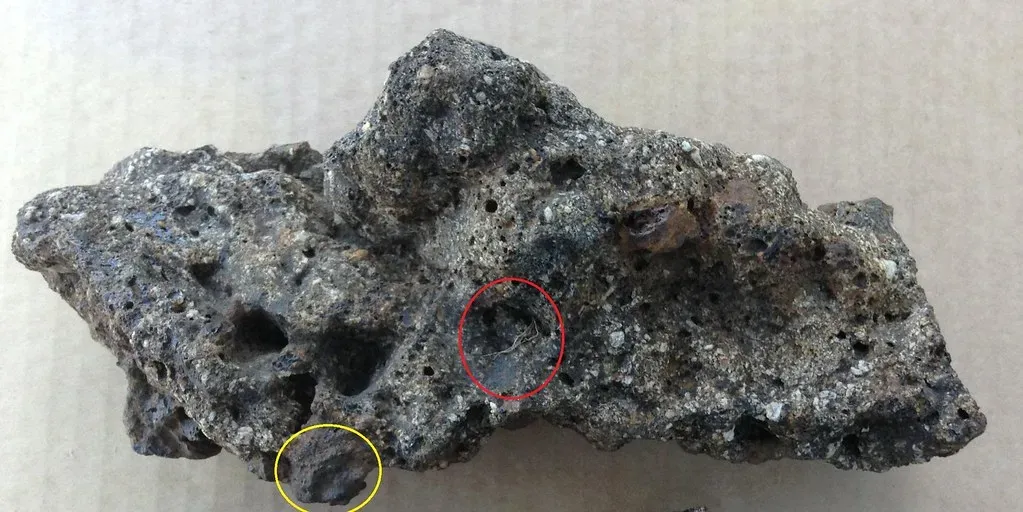 #12 - Could Life Have Arrived From Somewhere Else Entirely? (Wretch Fossil, Flickr, CC BY 2.0)