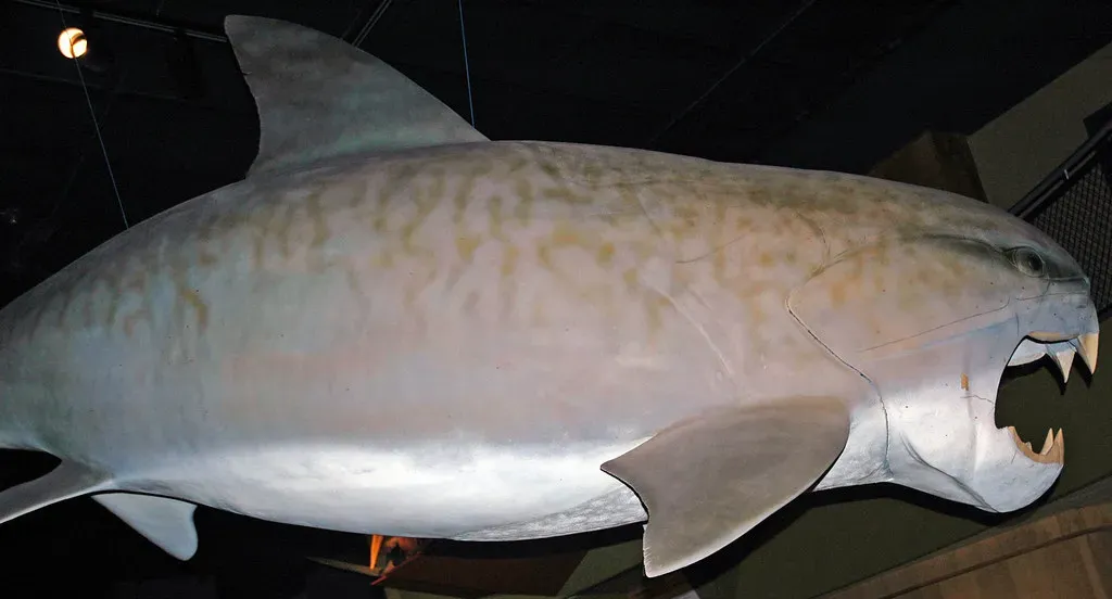 The Age of Giant Predators: When the Seas Were Apex Arenas (James St. John, Flickr, CC BY 2.0)