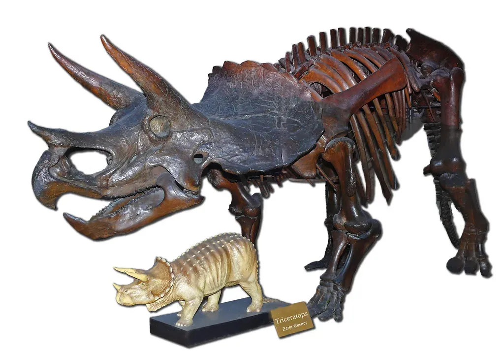 6. Bite Marks on Bones: Frozen Moments of Predation (Zachi Evenor, Flickr, CC BY 2.0)