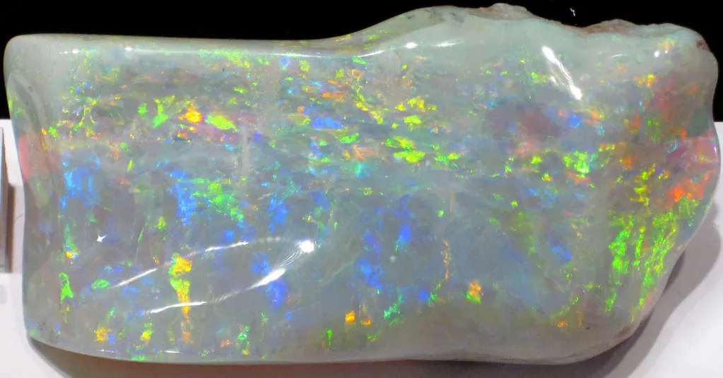 Modern Technology Is Transforming How We Read Fossils (James St. John, Flickr, CC BY 2.0)