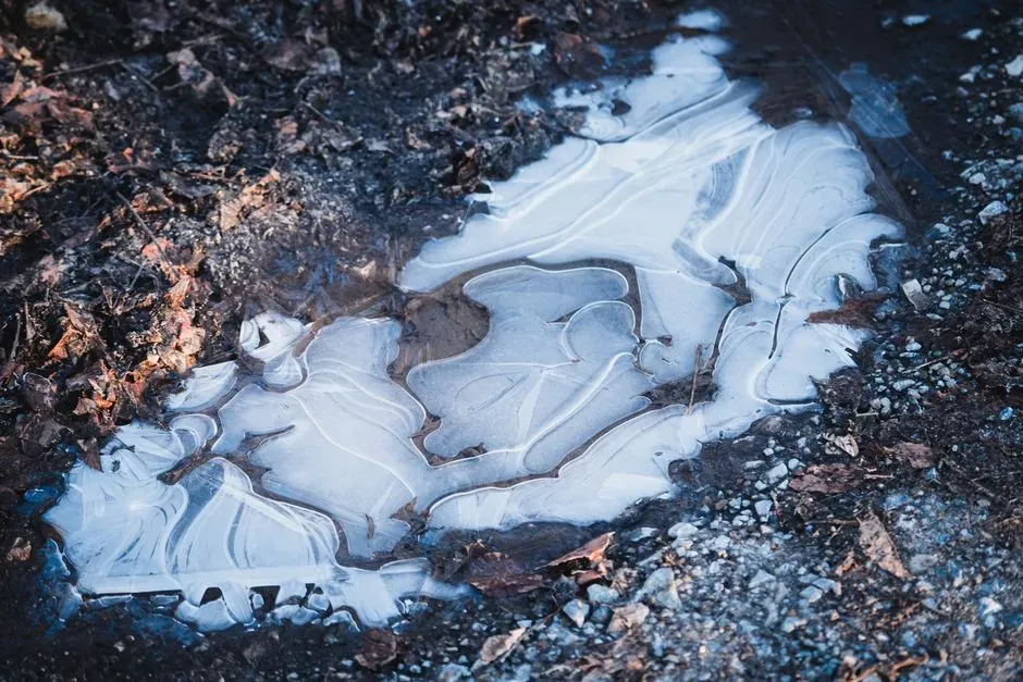 #6 Whether There Was Snow, Frost, or Freezing Rain Before Dawn (Image Credits: Pexels)