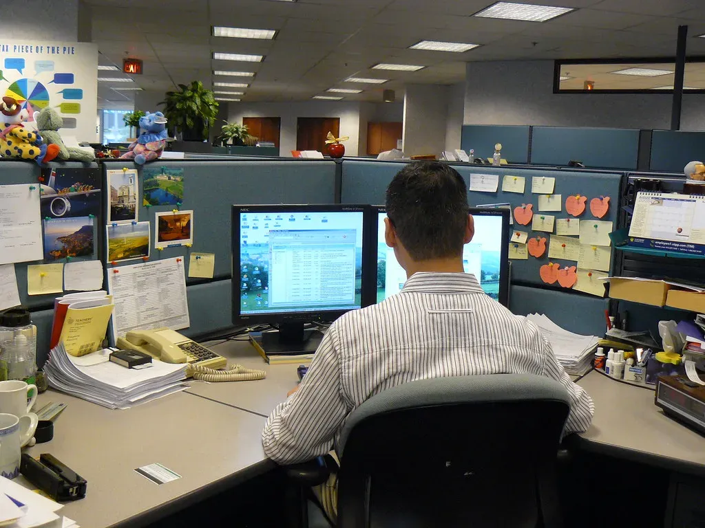 5. You Have an Almost Obsessive Love for Detail and Classification (Image Credits: Flickr)