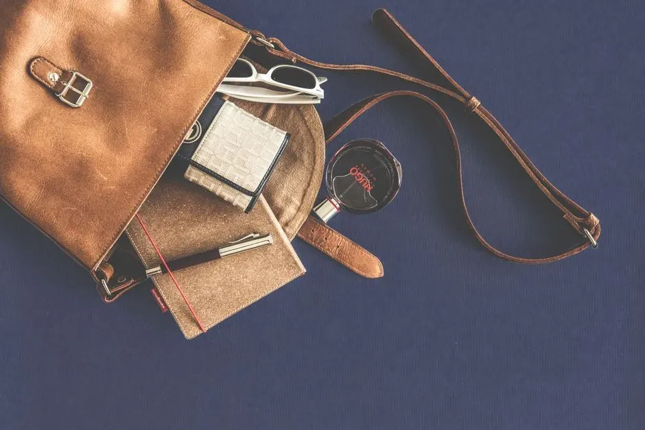 #13 - The Fireproof Purse That Impressed Benjamin Franklin (Image Credits: Pexels)