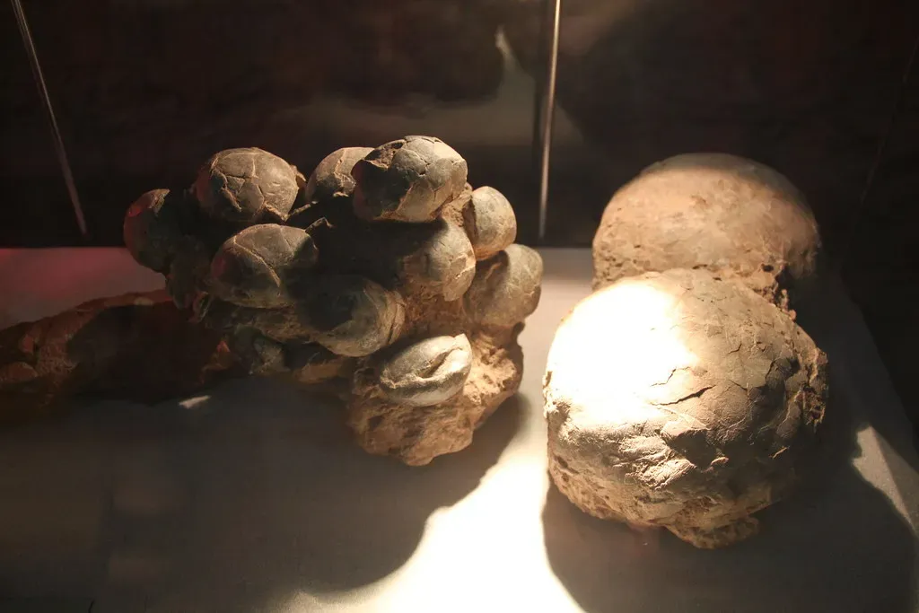 7. Soft-Shelled Dinosaur Eggs: Everything You Knew Was Wrong (Image Credits: Flickr)