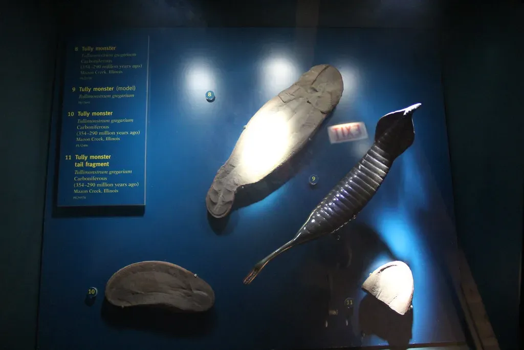 2. Tully Monster: The Creature That Stumped Scientists for Decades (Image Credits: Flickr)