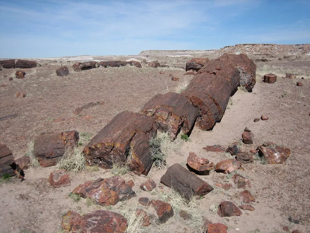 8. Petrified Forest National Park, Arizona (Paul Kehrer, Flickr, CC BY 2.0)