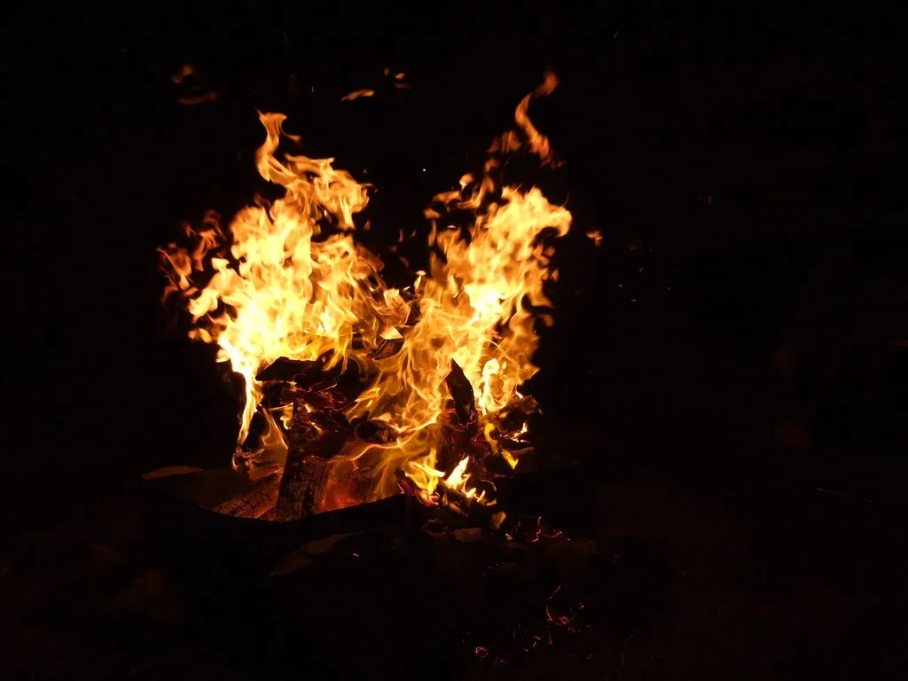 1. Fire Supercharged Our Guts and Freed Up Energy for the Brain (Chris Bloom, Flickr, CC BY-SA 2.0)