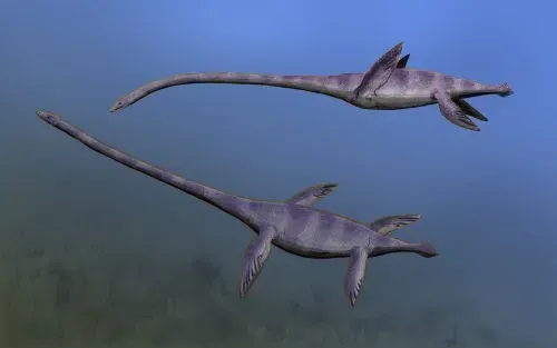 Elasmosaurus: The Serpent-Necked Wonder (Image Credits: Wikimedia)