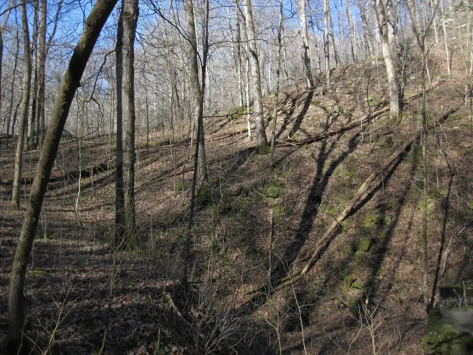 South Dakota's Mammoth Death Trap (Image Credits: Wikimedia)