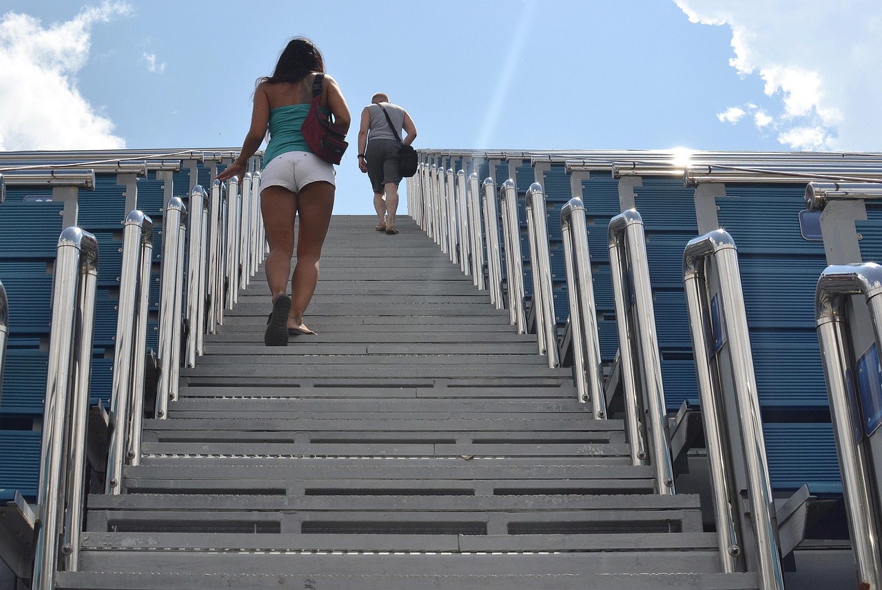 Capricorn: The Ambitious Mountain Goat Who Climbs Beyond Your Reach (Image Credits: Pixabay)