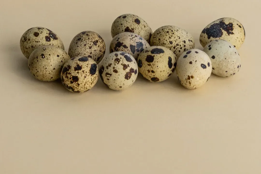 #3: Speckles Are Not Random Decoration (Image Credits: Unsplash)