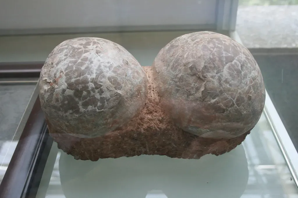 Dendroolithid Eggs: The Therizinosaur's Overlooked Offspring (Image Credits: Flickr)