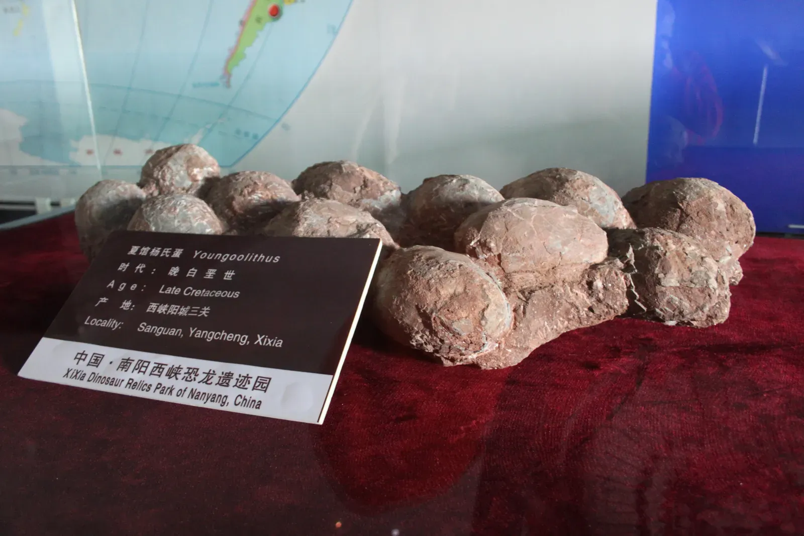 Dinosaur Eggs Came in Colors - and That Tells You a Lot About Parenting (Image Credits: Wikimedia)