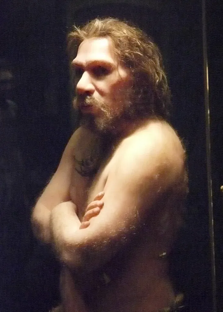 The Birth of the Brute: How Early Discoveries Framed Neanderthals (edenpictures, Flickr, CC BY 2.0)
