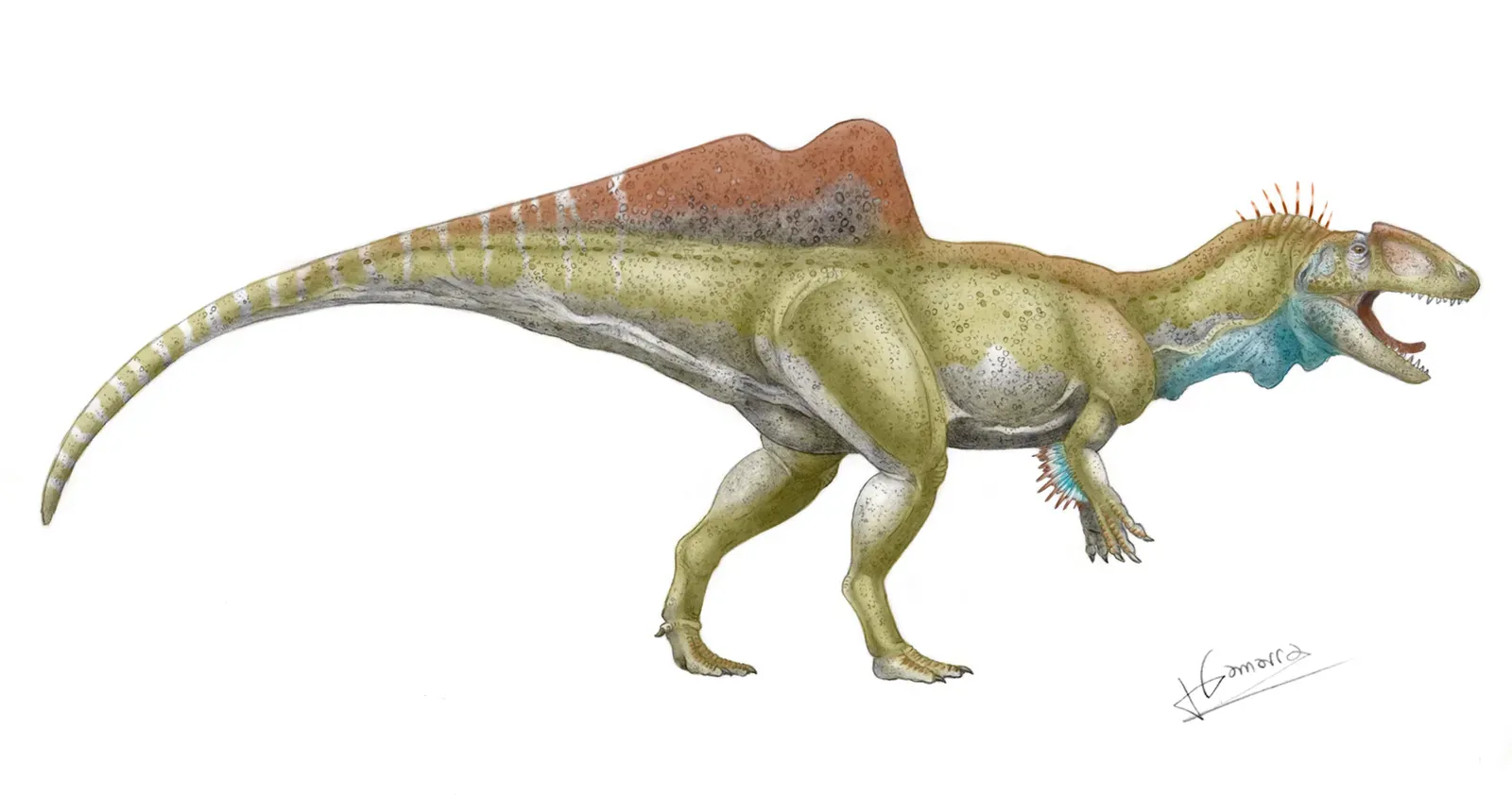 Concavenator in the Family Tree of Meat-Eating Dinosaurs (By Jesus Gamarra Gonzalez, CC BY-SA 4.0)
