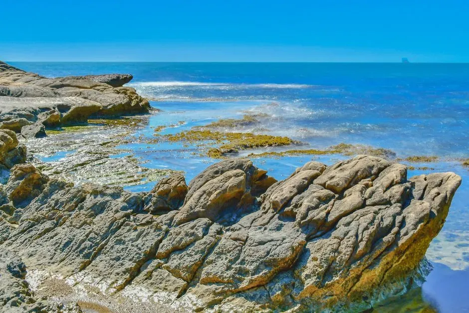 Oceans Everywhere and Seas Where Cities Now Stand (Image Credits: Pexels)