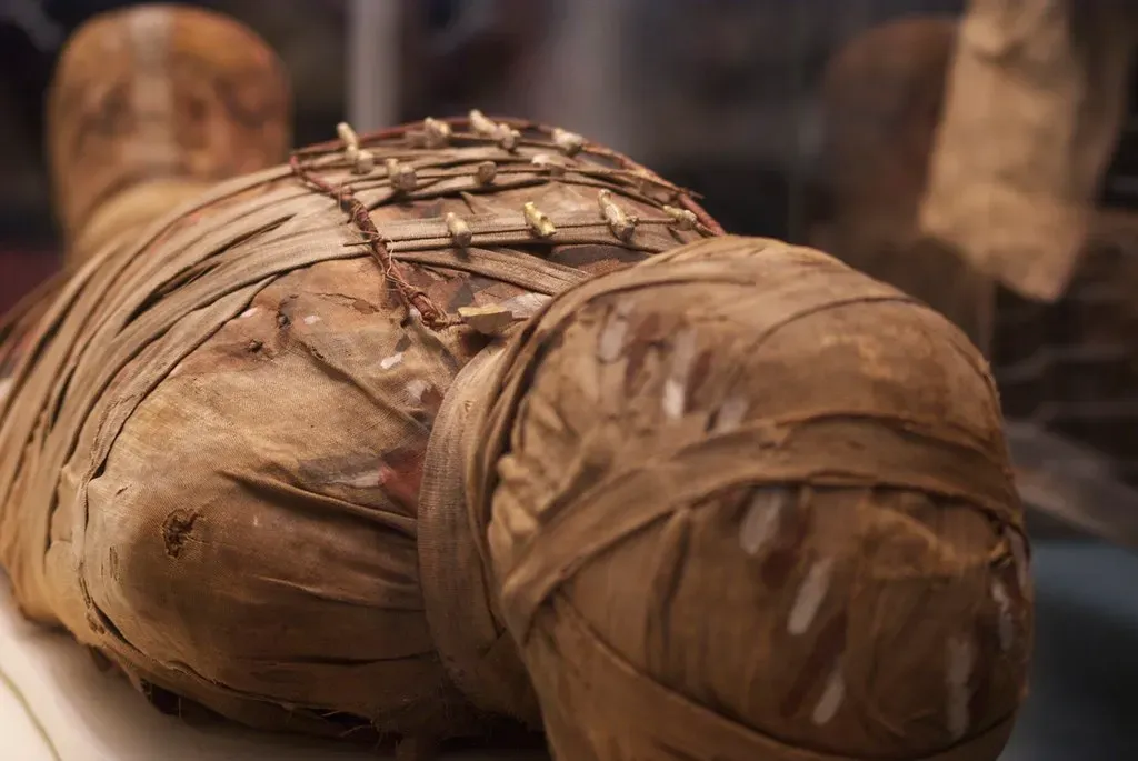 #1 - Human Skeletons And Mummies Are Vanishing From The Cases (p_a_h, Flickr, CC BY 2.0)