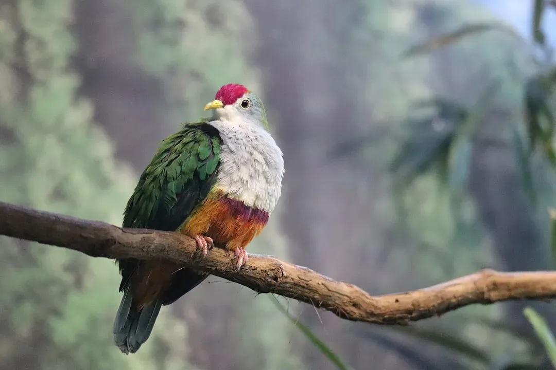 The Brain Behind the Wings: Neuroscience Meets Paleontology (Image Credits: Unsplash)