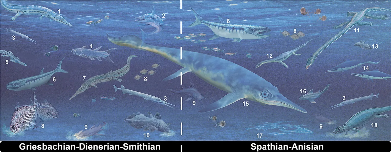 9. Marine Reptiles Were Basically Giant Lizards In The Sea (By Printed under a CC BY license, with permission from Nadine Bösch and Beat Scheffold, original copyright [2013]., CC BY 2.5)