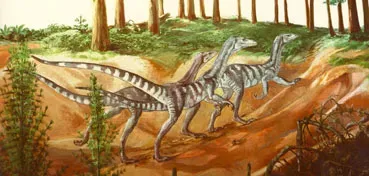 Fossil Evidence That Changed Everything: Similar Species on Separate Continents (Image Credits: Wikimedia)