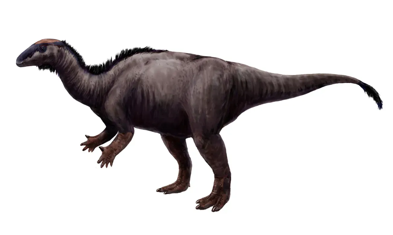 Herbivore Dinosaurs Were Not All the Same Kind of Eater (Image Credits: Wikimedia)