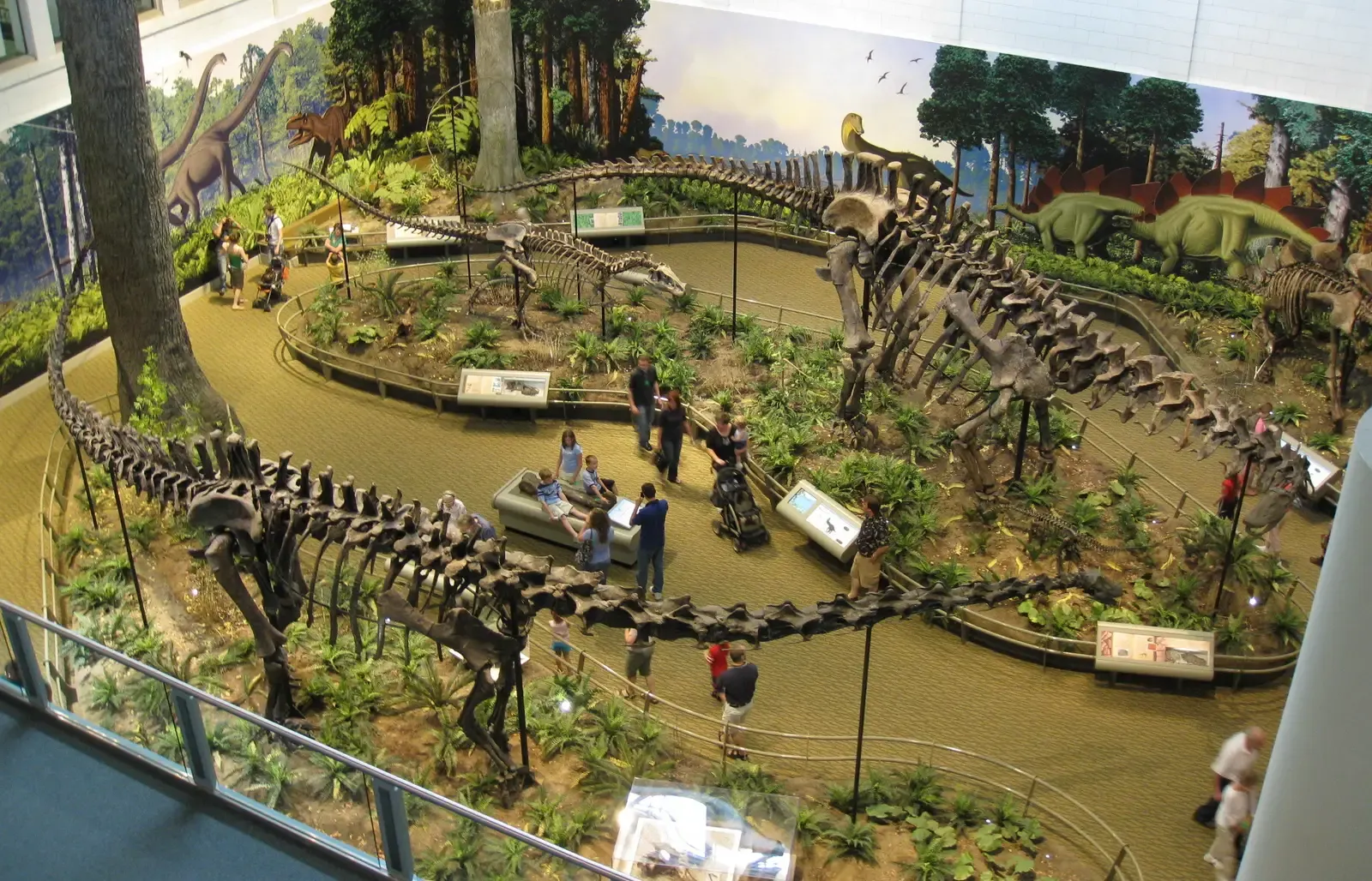 Dinosaurs Were Thriving Right Up Until the Asteroid Hit (Dinosaurs in Their Time: Jurassic Era Room, CC BY 2.0)