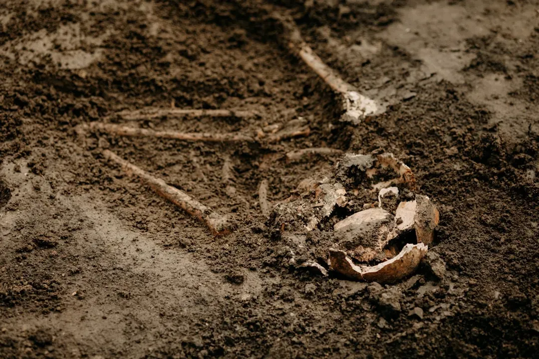 #6 - They Buried Their Dead With Objects They Didn't Need (Image Credits: Unsplash)