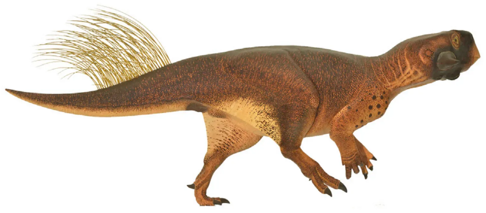 4. Psittacosaurus: The Parrot-Faced Underdog (3D Camouflage in an Ornithischian Dinosaur, Current Biology (2016), https://dx.doi.org/10.1016/j.cub.2016.06.065, CC BY 4.0)
