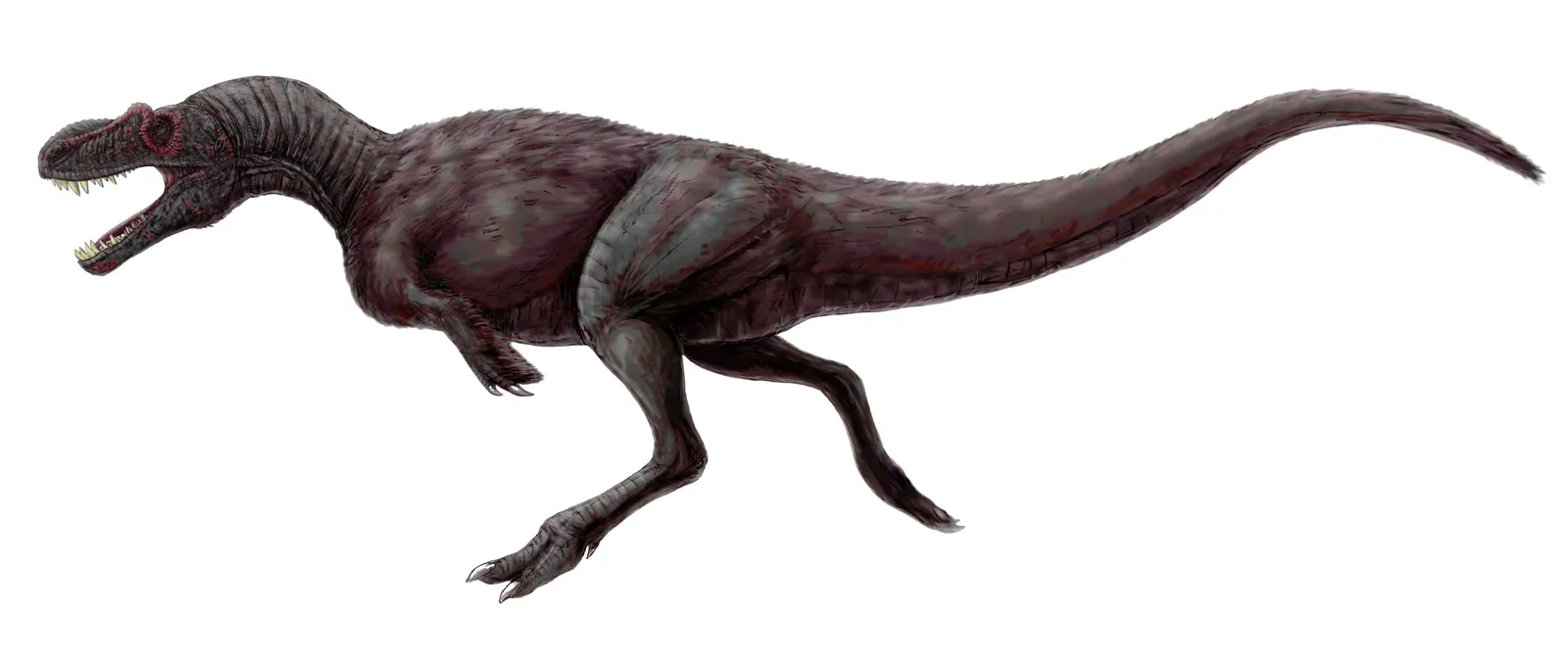 The Lost World of Appalachia and Its Mystery Dinosaurs (Image Credits: Wikimedia)