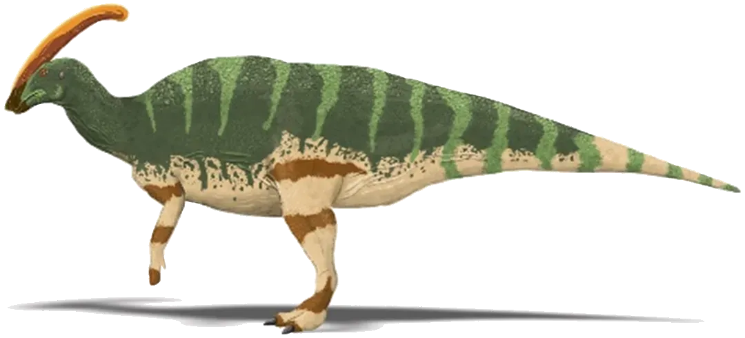 Parasaurolophus: The Trumpet of the Cretaceous (Image Credits: Wikimedia)