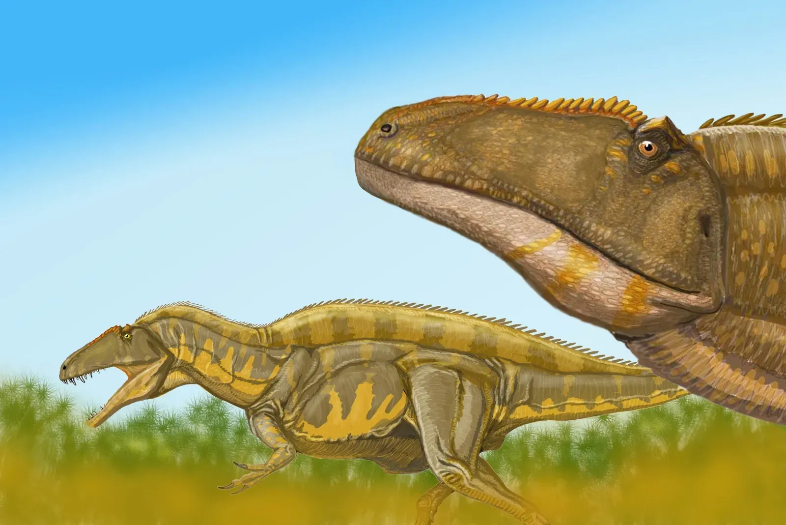 The Forgotten Rivals Before T. Rex (Image Credits: Wikimedia)