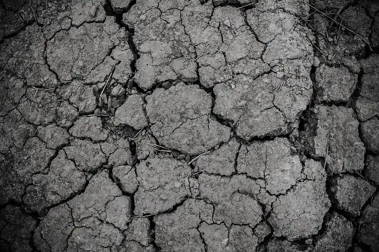 #2 - It Shattered Soil Structure, Turning Farmland into Fine Dust (Image Credits: Pixabay)
