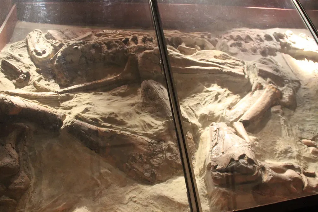 Gideon and Mary Ann Mantell's Iguanodon (Image Credits: Flickr)