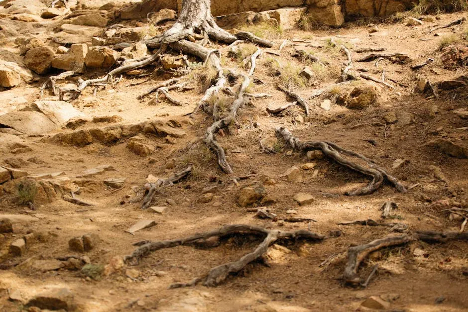 How Roots Rewrote the Planet’s Surface and Shaped the Soil Under You (Image Credits: Pexels)