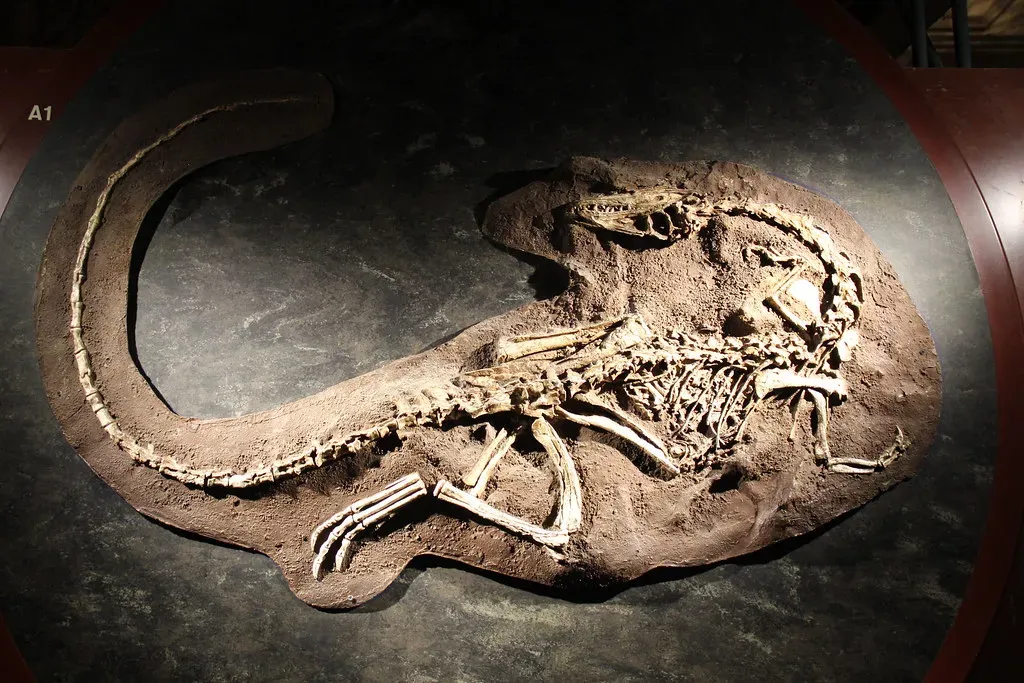 #7 - Scientists Ruled Out an Easier Explanation (Image Credits: Flickr)