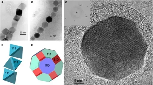 How Bacteria Started the Whole Thing (By Mihály Pósfai, Christopher T. Lefèvre, Denis Trubitsyn, Dennis A. Bazylinski, and Richard B. Frankel, CC BY 3.0)