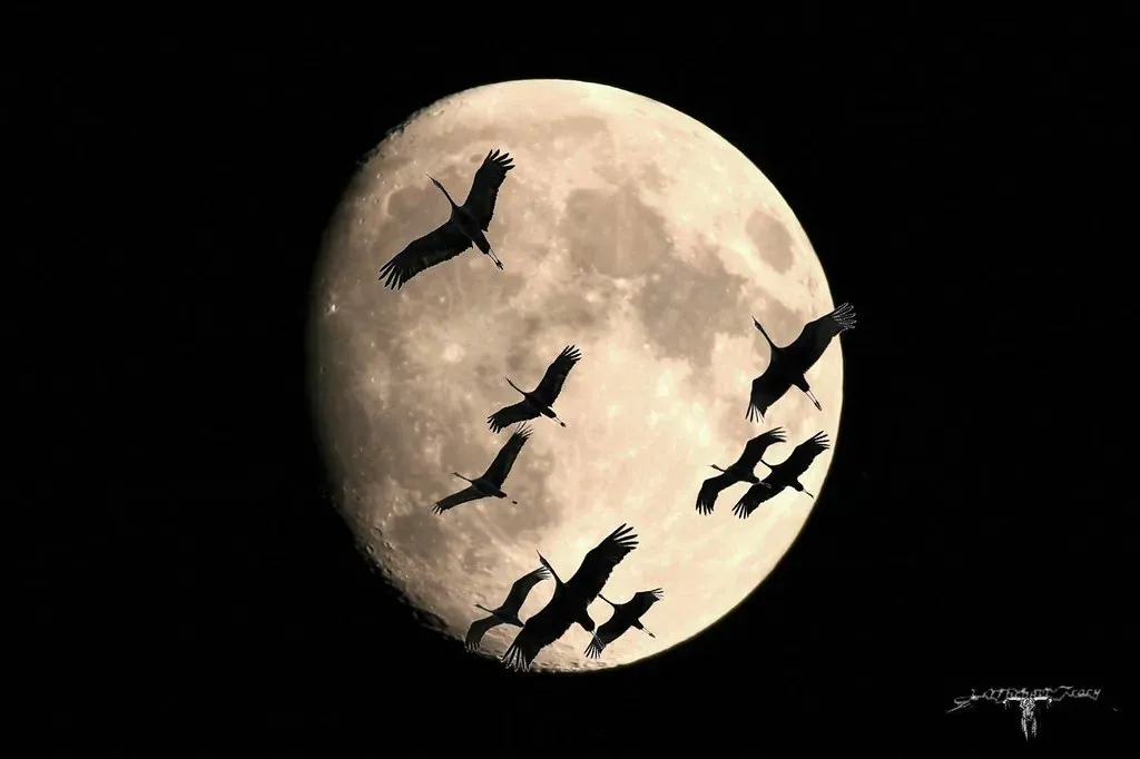 #9 - The Moon-Watching Method That Quietly Got Replaced (J. Michael Tracy, Flickr, CC BY 2.0)