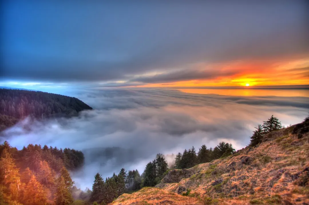 Pisces – The Dreamy, Misty Sunrise or Sunset Wrapped in Haze (Image Credits: Unsplash)