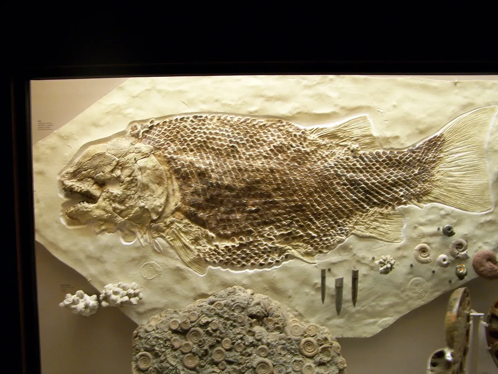 Conclusion: The Past Is Not Done With You Yet (By Zach Tirrell, CC BY-SA 2.0)