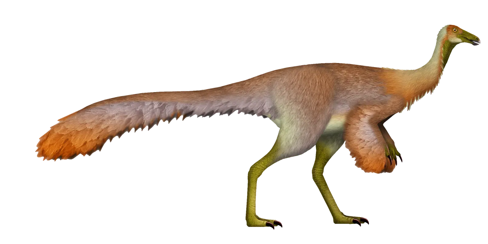 Dromiceiomimus – The Emu Mimic (Image Credits: Wikimedia)