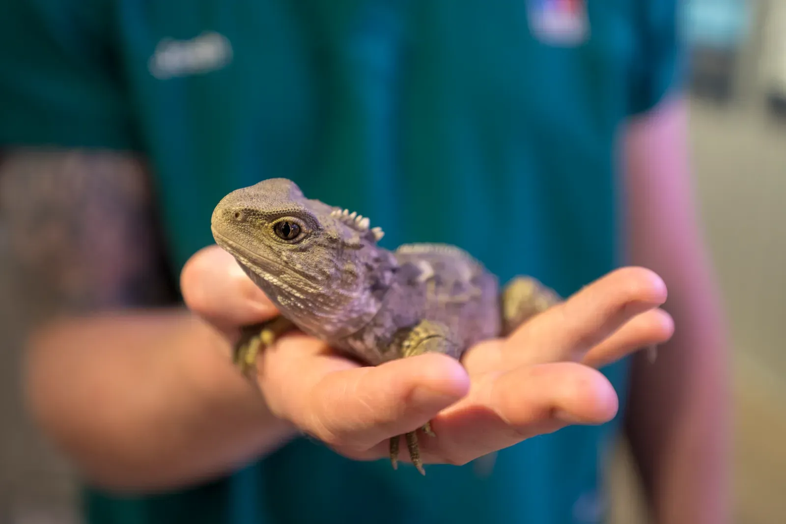 Temperature Decides Whether You're Male or Female (Image Credits: Wikimedia)