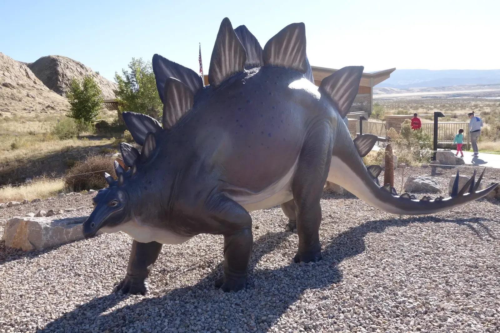 4. Stegosaurus: The Walking Solar Panel and Plant Pruner (By Jens Lallensack, CC BY-SA 4.0)