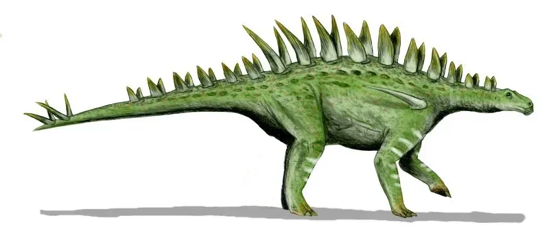 Huayangosaurus: The Ancestral Stegosaur (Image Credits: Wikimedia)