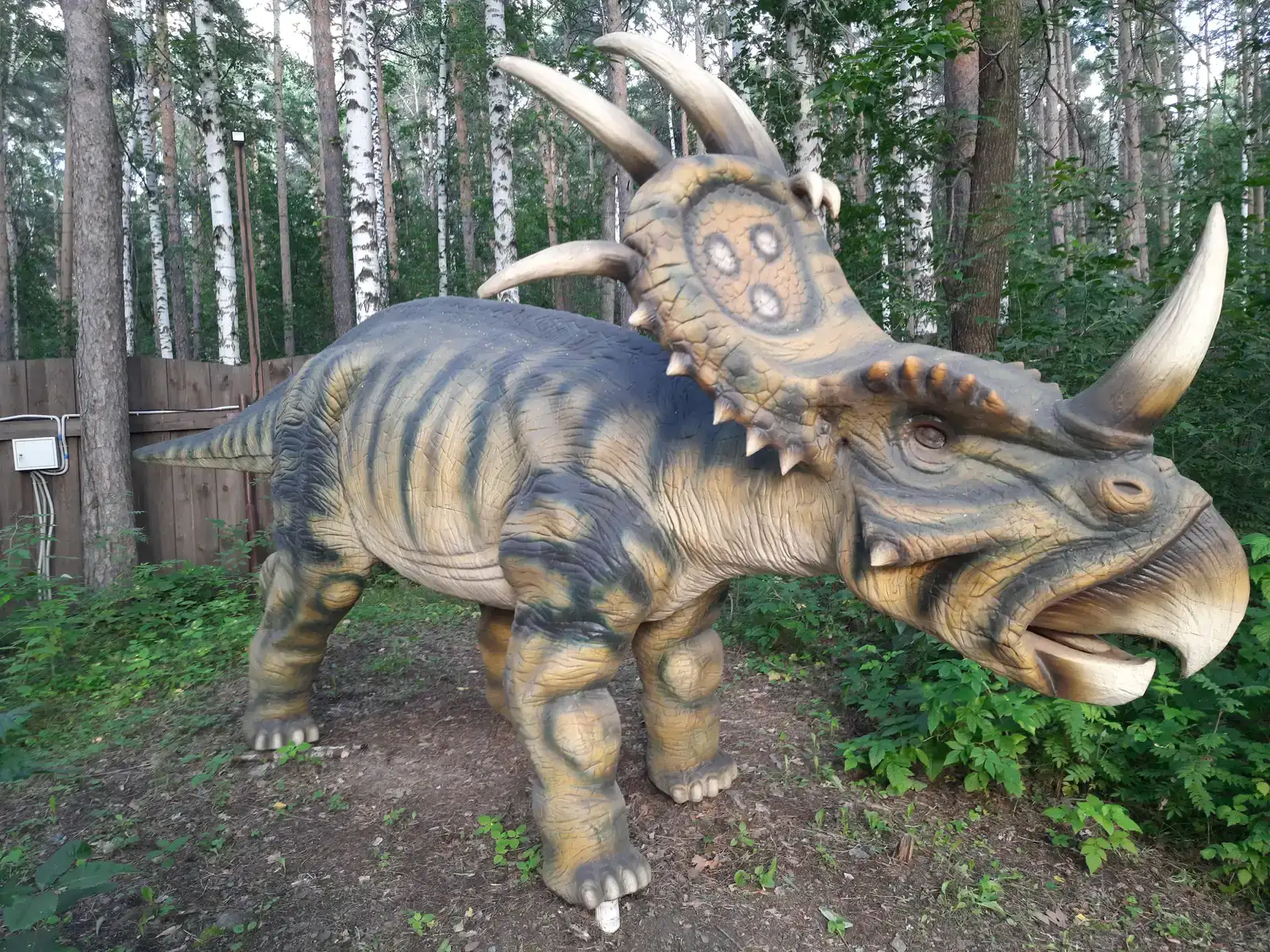 Conclusion (Image Credits: Wikimedia)