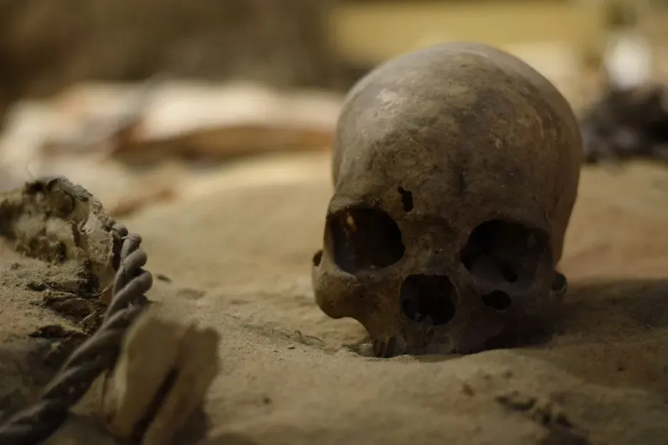 #14 - The Box of Bones on Buford Highway (Image Credits: Pexels)