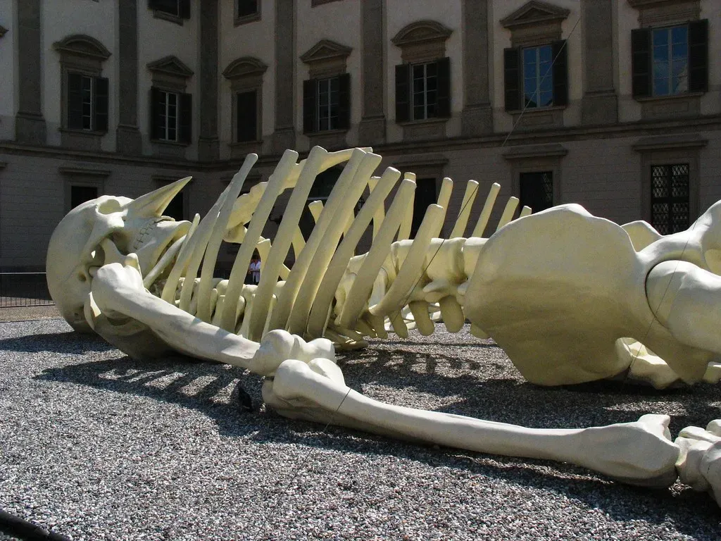 Newspaper Clippings of Giant Skeletons from the Late 1800s (Kieran Lynam, Flickr, CC BY 2.0)