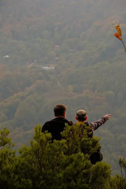 Prospect and Refuge: The Psychology Behind a “Perfect” View (Image Credits: Pexels)